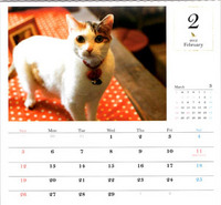 calendar-3.jpg
